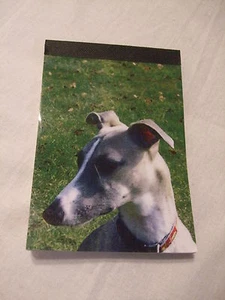 Carnet aimanté à feuilles détachables - WHIPPET - Imagen 1 de 1
