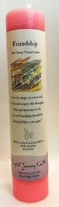 FRIENDSHIP Crystal Journey Reiki Charged Candle Herbal Magic Pillar - Free Ship - Picture 1 of 2