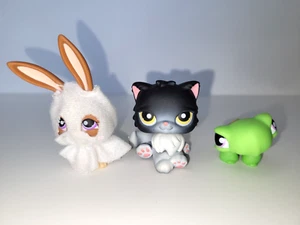 Littlest Pet Shop Halloween~#433~Turtle~Jack-OLantern Shell~#434~Bunny~#435~Cat - Picture 1 of 10