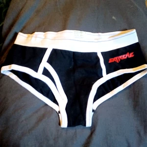Vintage 2008 EXTREME band ladies underwear PLAY WITH ME panties Nuno Bettencourt - Picture 1 of 3