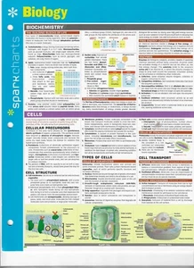 BIOLOGY ~ 6 page Laminated SparkCharts by Spark Notes @ 2002 - Picture 1 of 1
