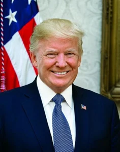 Impresión fotográfica 8x10 del presidente Donald Trump - Imagen 1 de 1