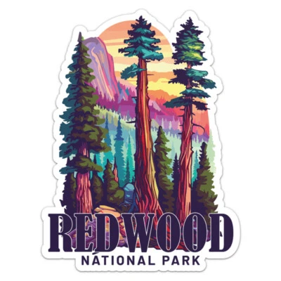 Retro Redwood National Park Vinyl Decal Car Bumper Sticker - Image 1 of 4