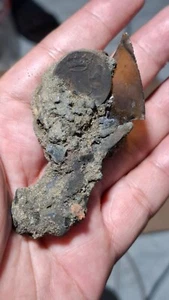  VOC Era 1700" Utrecht Province Shipwreck Copper Coin  FossiL See Picture - Picture 1 of 7