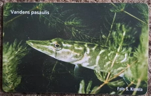 Tarjeta telefónica Lituania - pez - lucio - mundo del agua muy rara usada - Imagen 1 de 2