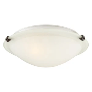 Forte Lighting 2799-02 2 Light 12"W Flush Mount Bowl Ceiling - Bronze - Picture 1 of 4