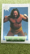 Pro Wrestling Card 97 Sparkling Fighters Hiromichi Fuyuki Japan vb