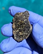 Meteorite**NWA 13366, Martian Peridotitic Sherg.**19.159 gram gorgeous endcut!!!