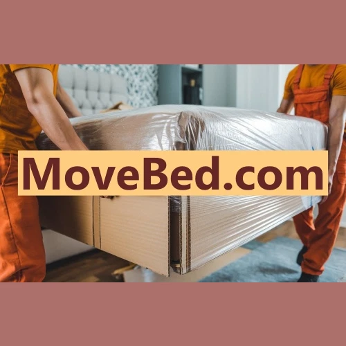 MoveBed .com / Dominios en venta / Marca comercial, nombre del sitio web / SAV Foto 1 de 2