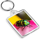 Colourful Bug Keyring - IP02 - Insect Nature Flower Pretty Bugs Cool Gift #16631
