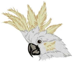 Parche bordado para planchar o coser cacatúa, con cresta de azufre, loro - Imagen 1 de 2