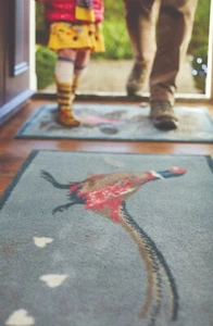 Alfombra de abrazo 150x65 cm (FAISÁN 1) alfombra de puerta trampero de suciedad / corredor lavable a máquina - Imagen 1 de 10