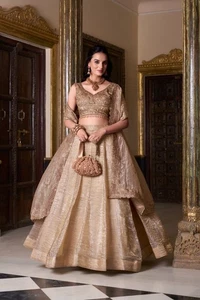 INDIAN BRIDAL LEHENGA CHOLI PARTY WEAR CHOLI LEHNGA BOLLYWOOD DESIGNER DRESS EID - Picture 1 of 5