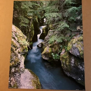 Schöner Tropical Print.   „ Flying Color“ von Eric Ergenbeight 16 „ x 20“ - Bild 1 von 5