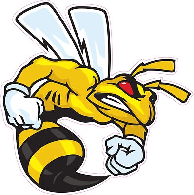 Ski-Doo Angry Bee Large Decal 12" - Image 1 of 2
