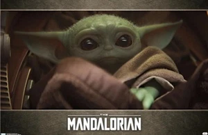STAR WARS THE MANDALORIAN GROGU- TRENDS INTERNATIONAL POSTER - 22x34 - RP18511 - Picture 1 of 1