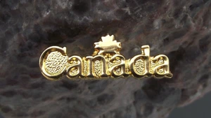 Canada Maple Leaf Logo Canadian Travel Souvenier Pin Badge - Picture 1 of 3
