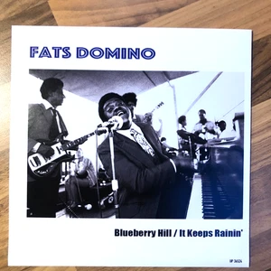 FATS DOMINO Blue berry Hill  45 7" Vinyl Single record with unique Sleeve - Bild 1 von 7