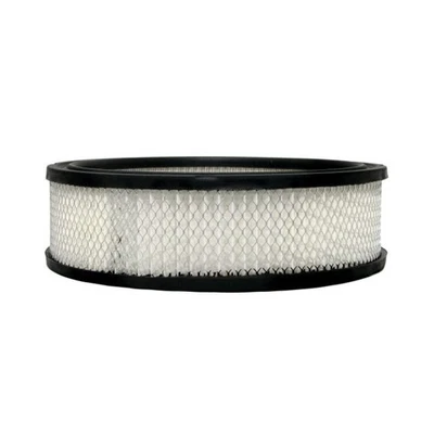 Filtro de aire ACDelco genuino para camioneta Isuzu 1991 1992 1993 1994 | redondo 25040929 Foto 1 de 4