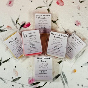 Hand Poured Scented Soy Wax Melts - Fall | Holiday Collection - Picture 1 of 25