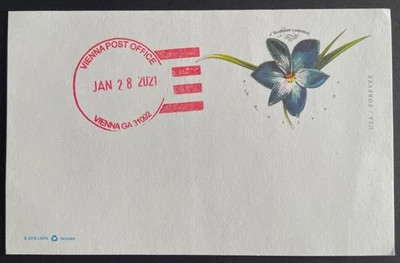 Vienna, Georgia #UX647 Postal Card hand-stamped Jan 28, 2021 - unaddressed - GA - Image 1 of 2