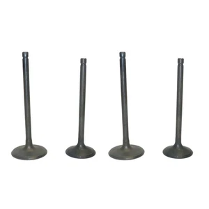 New Engine Valve Kit Fits Yamaha Viking VI Hunter 700cc By 017-314 - Bild 1 von 1