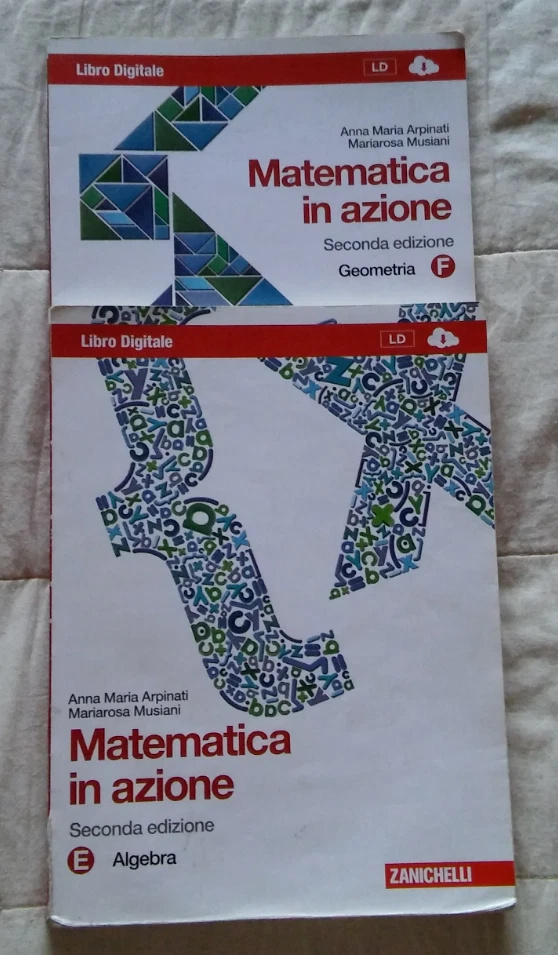 MATEMATICA IN AZIONE - ALGEBRA E GEOMETRIA - Tomi E-F (seconda edizione) - Immagine 1 di 1
