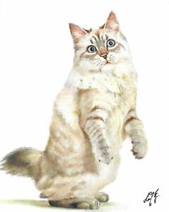❈ Original Oil Portrait Painting American Bobtail Artist Signed Art Kitten Cat
