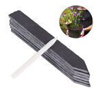 7 Pcs Slate Stone Plant Tags Cheese Markers Round Labels Garden