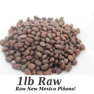 GRAND CANYON SILVER New Mexico Piñon, Pinon Pine Nuts, Flavorful, Sweet ~ NOT! NV/UT/CA Soft Shells