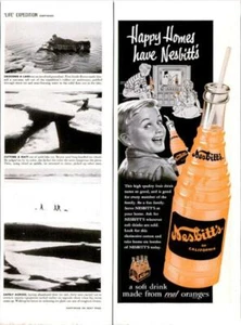 1954 Nesbitts Orange Soda DRUCKANZEIGE Erfrischungsgetränk für heute - Bild 1 von 1