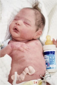 Studio-Doll Baby BOY reborn Alessandro by Cassie Brace love 20 inch - Picture 1 of 24