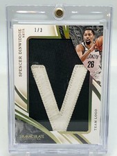 2019-20 Immaculate Collection Spencer Dinwiddie Team Logo Patch 1/3!