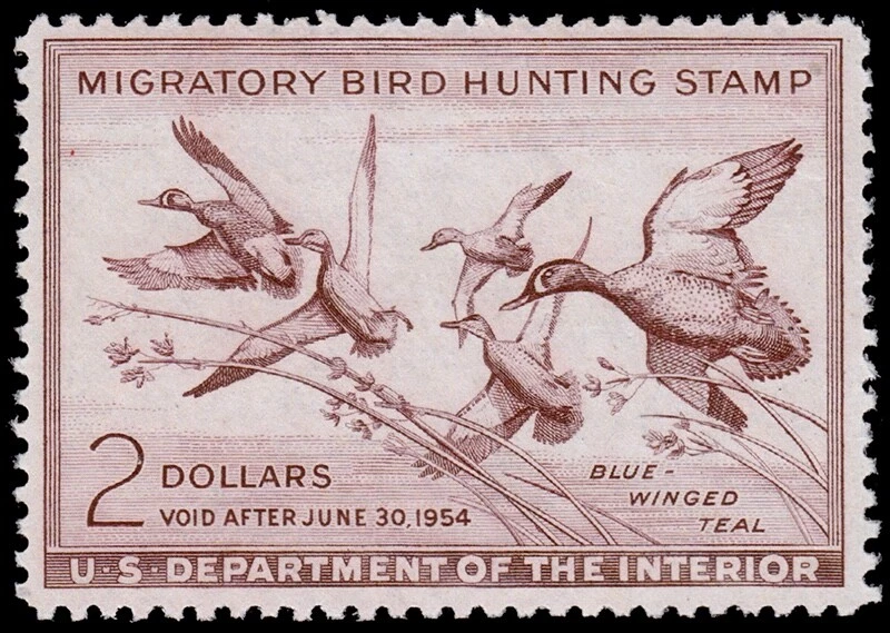 United States Hunting Permit Stamp Scott RW20 (1953) Mint NH VF, CV $90.00 C - Image 1 of 1