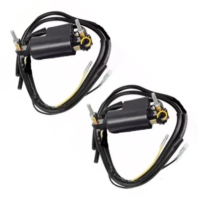 2X Bobina de encendido compatible con Ski-Doo Skandic 500 583 670 1998-2000 Foto 1 de 4