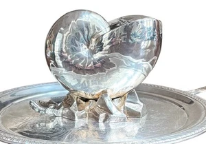 Antique Nautilus Shell Silver Plate Spoon Warmer 19th c. 6”x5”x3” - Picture 1 of 15