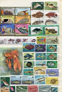 Lot Fische  ( 39560 ) - Picture 1 of 1