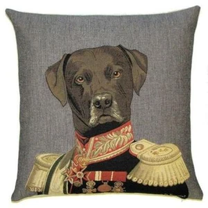 Funda de almohada Chocolate Lab Labrador Retriever SOLO Bélgica Thierry Poncelot - Imagen 1 de 1