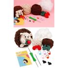 2Sets Hedgehog Crochet Starter Kits with Yarn, Crochet Hook, Needle, Instruction
