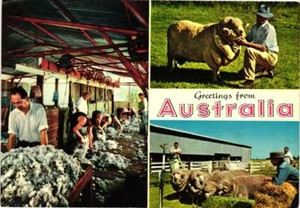 Greetings From Australia Postcard - Picture 1 of 2