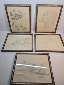 Lot of 5 Signed Art Pencil Drawings of Various Dogs - Framed & Glazed - Picture 1 of 13