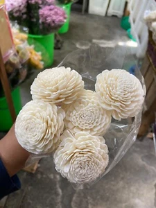 Dried white sola - Picture 1 of 1