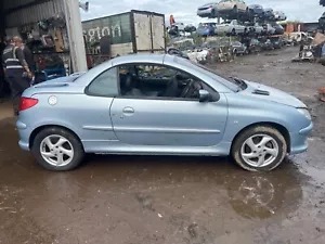 Peugeot 206cc 2004 1.6 Petrol driver door weather strip - Picture 1 of 10