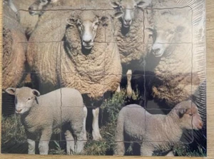Wild Sheep 16 Piece Jigsaw Puzzle - Picture 1 of 2