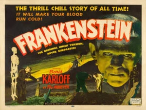 1931 FRANKENSTEIN BORIS KARLOFF VINTAGE MOVIE POSTER PRINT 18x24 STYLE E 9 MIL - Picture 1 of 4