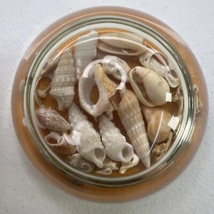 VINTAGE Clear Glass Paperweight with Sea Shells, 3.25”diameter, weights 9 ounces - Picture 1 of 3