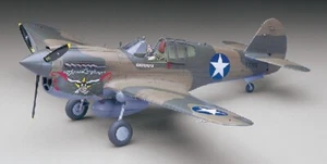 1/32 P40E Warhawk USAAF Fighter - Picture 1 of 1