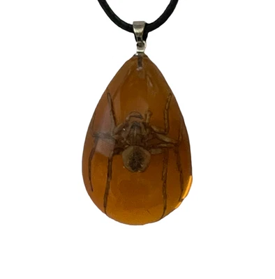 Collar Araña Real Colgante Extraño Regalo Insecto en Réplica Ámbar Foto 1 de 4