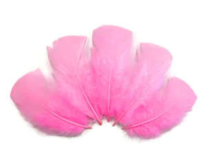1/4 lb. Rosa caramelo pavo base en T al por mayor plumas planas a granel boda de Halloween - Imagen 1 de 12