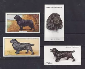 Colección de tarjetas de cigarrillo arte perro del Reino Unido 1929-1938 x 4 Black FIELD SPANIEL - Imagen 1 de 1
